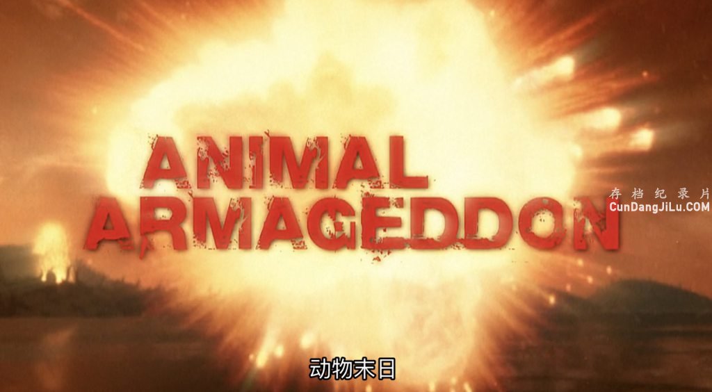 ̽Ƶĩ Animal Armageddon 2009ȫ8 Ӣ 720P¼Ƭ 