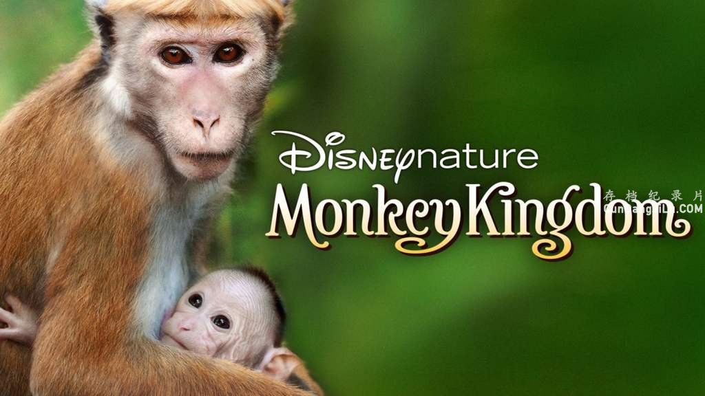 ¼Ƭ Monkey Kingdom 2015ȫ1  Ļ 1080P 