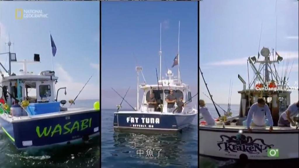 ̼¼Ƭƻս/Wicked Tuna1-11 ȫ174ϼ  720P/1080P ʵ¼