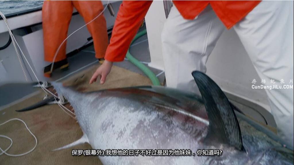 ̼¼Ƭƪ/ƻϱԾ Wicked Tuna Outer Banks1-7 ȫ84ϼ Ӣ 1080P ʵ¼