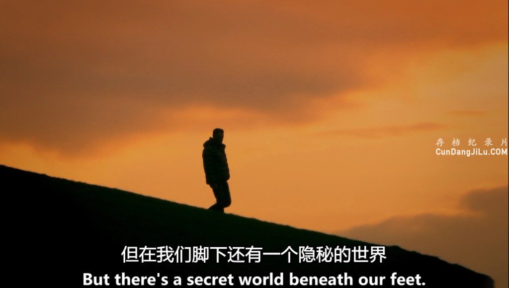 BBC¼Ƭصĵض/Ѩ:¶ȫ3 Ļ 720P ص 
