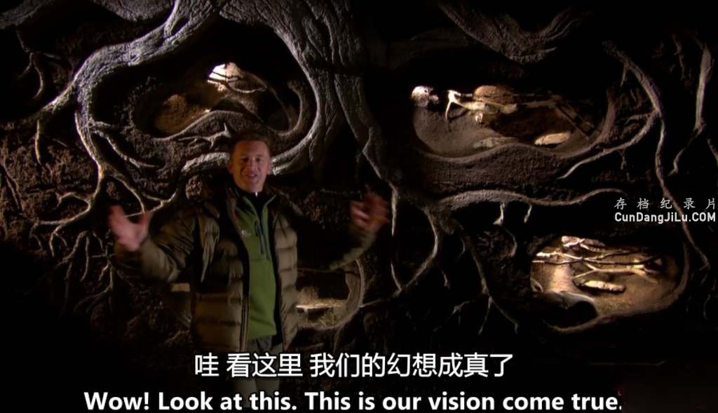 BBC¼Ƭصĵض/Ѩ:¶ȫ3 Ļ 720P ص 