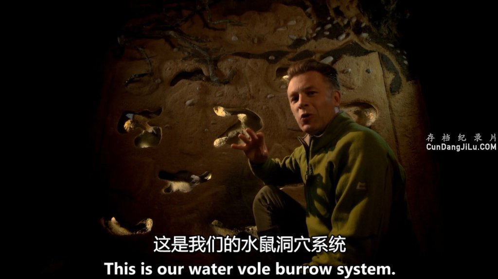 BBC¼Ƭصĵض/Ѩ:¶ȫ3 Ļ 720P ص 