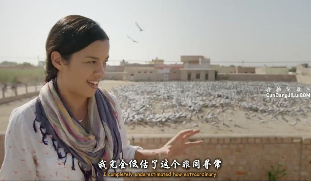 BBCȻ̬¼Ƭӡ:Ȼɾ India:Natures Wonderland 2015ȫ2 Ƕ 720P 