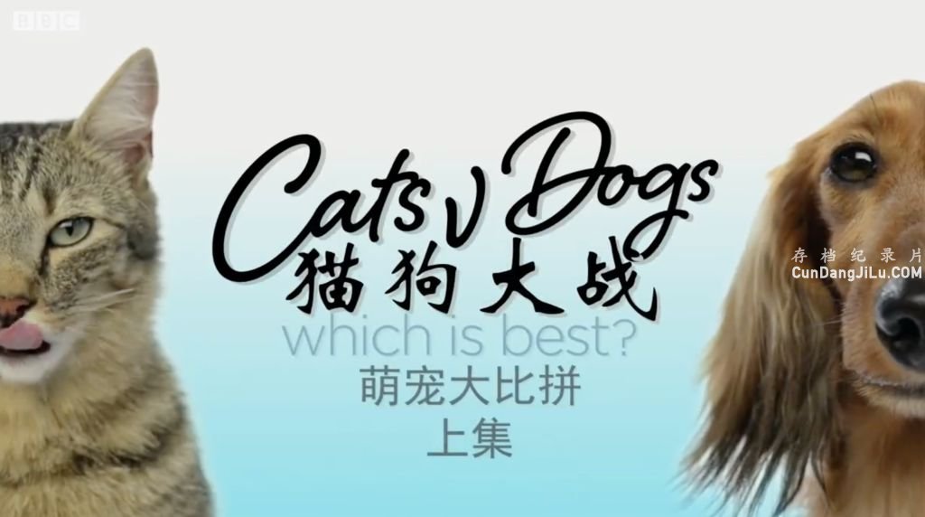 BBCȳ¼Ƭƴ Cats v Dogs: Which is Bestȫ2 Ƕ 720P 