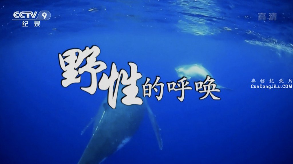 Ұ¼ƬҰԵĺȫ5  720P