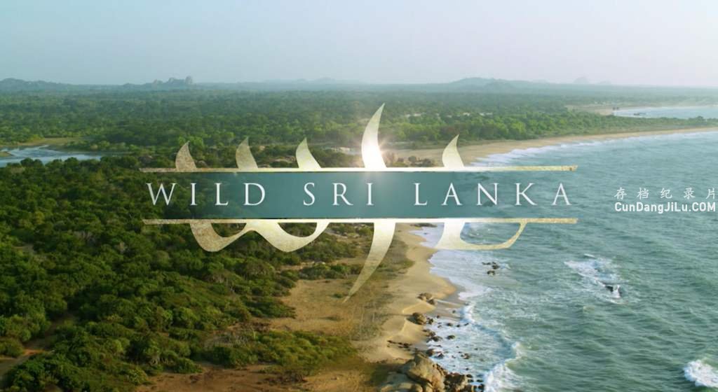 ҵȻ̬¼ƬҰ˹ Wild Sri Lankaȫ3 Ƕ 720P