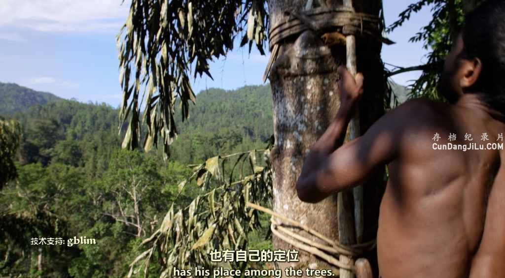 ҵȻ̬¼ƬҰ˹ Wild Sri Lankaȫ3 Ƕ 720P 