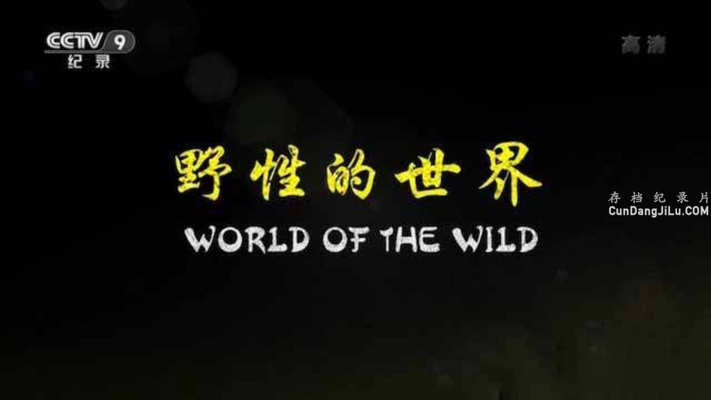 Ȼ̬¼ƬҰԵ World of the Wildȫ6  1080