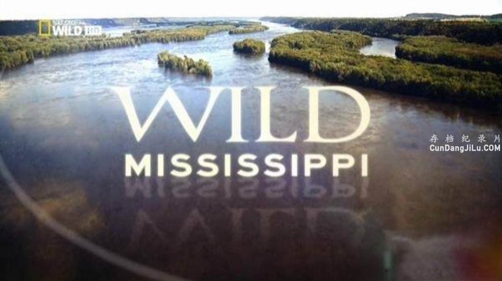 ҵȻ̬¼ƬҰ Wild Mississippiȫ3 720P