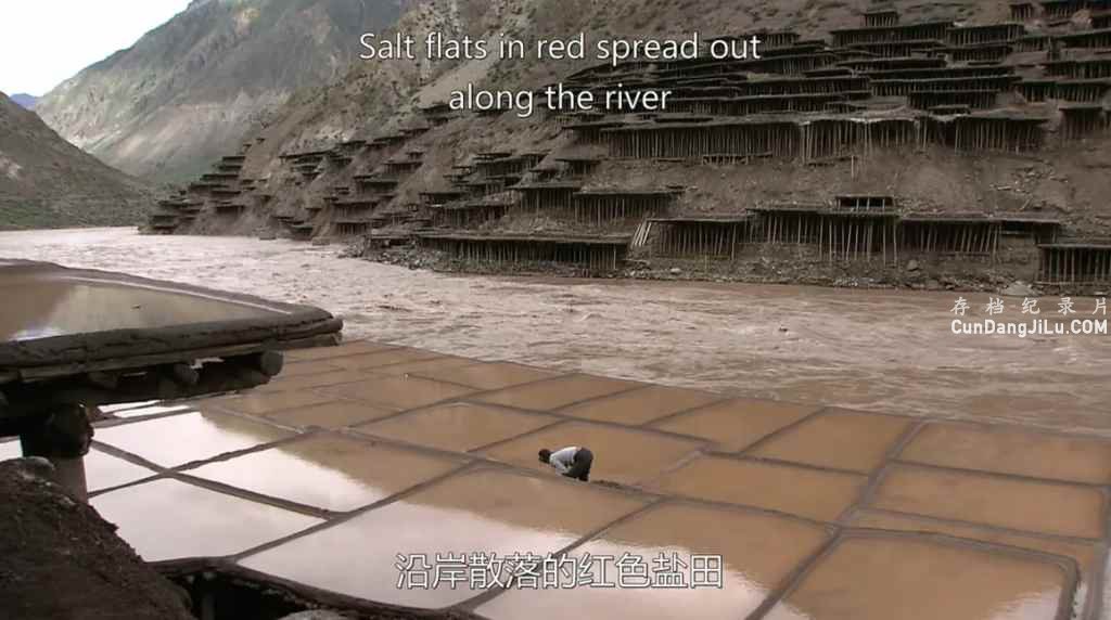 ŵ¼Ƭε The Last Salt Caravan 2004ȫ1 ¼Ƭ ʷ