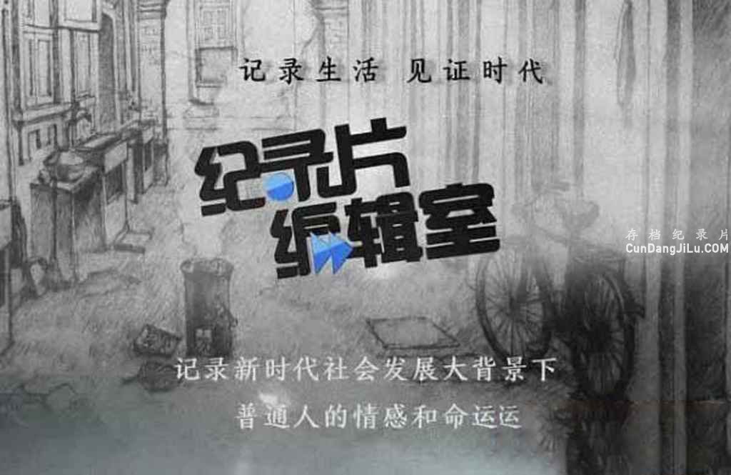 Ϻ̨ʵƵ¼Ƭ༭ҡȫ853322G 720P/1080i¼Ƭ ʵ¼