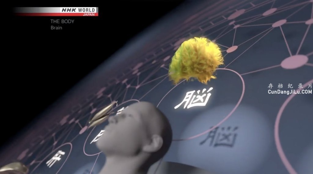 NHK¼Ƭ THE BODYȫ8 Ӣ 720P¼Ƭ ѧ̽